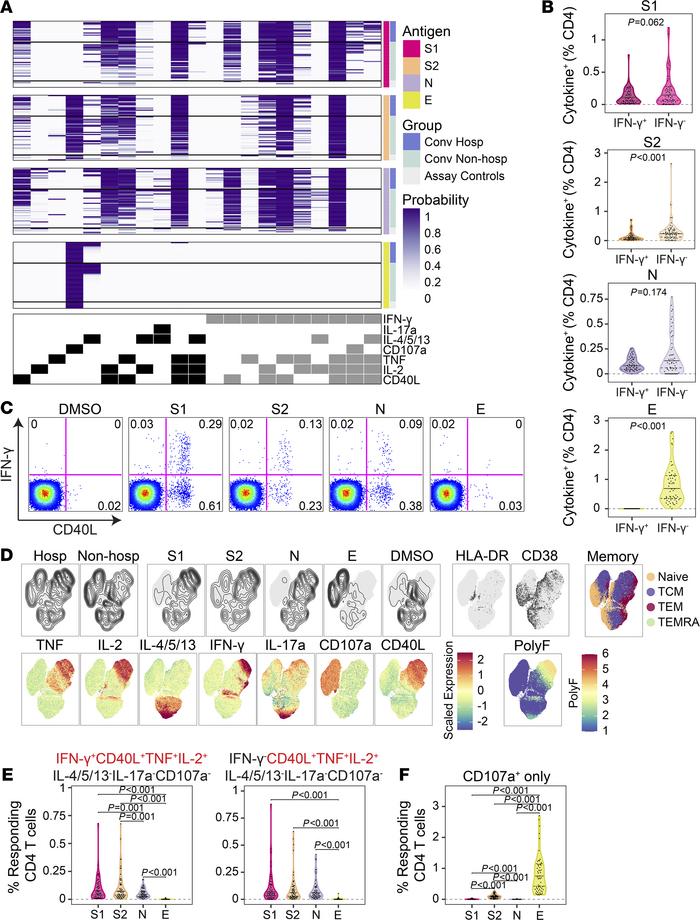 IFN-γ–independent CD4 T cell responses to SARS-CoV-2 structural antigens...