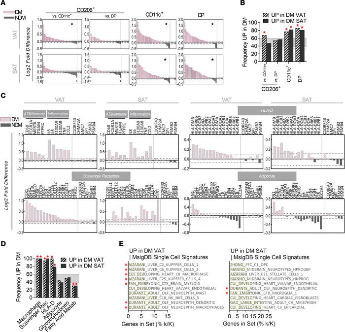 Gene expression signatures in DM and NDM adipose tissues.
(A) Gene expre...