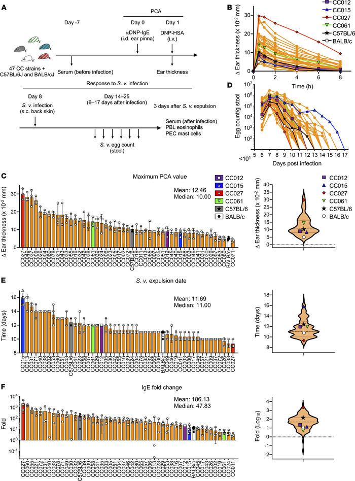 PCA intensity, duration of S.v. infection, and IgE fold change were asse...