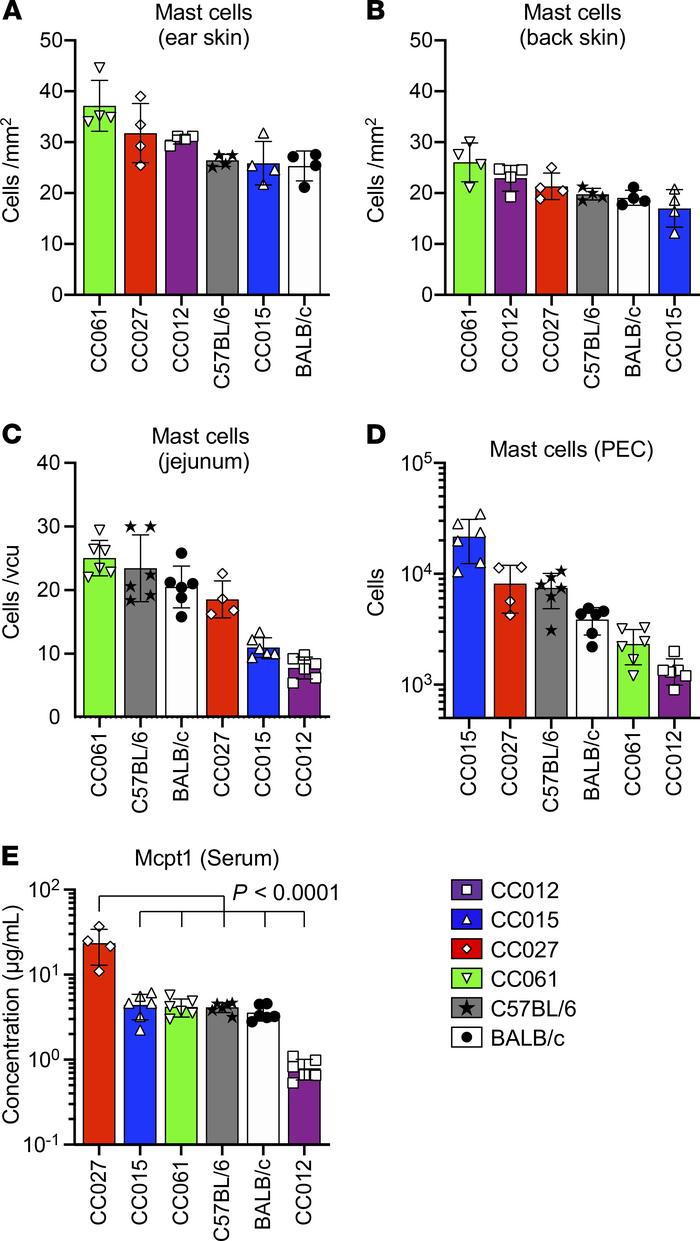 Tissue MC numbers and serum Mcpt1 levels were evaluated in CC, C57BL/6J,...