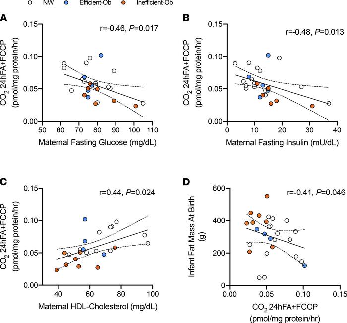 MSC FAO correlates with maternal metabolism and infant fat mass at birth...