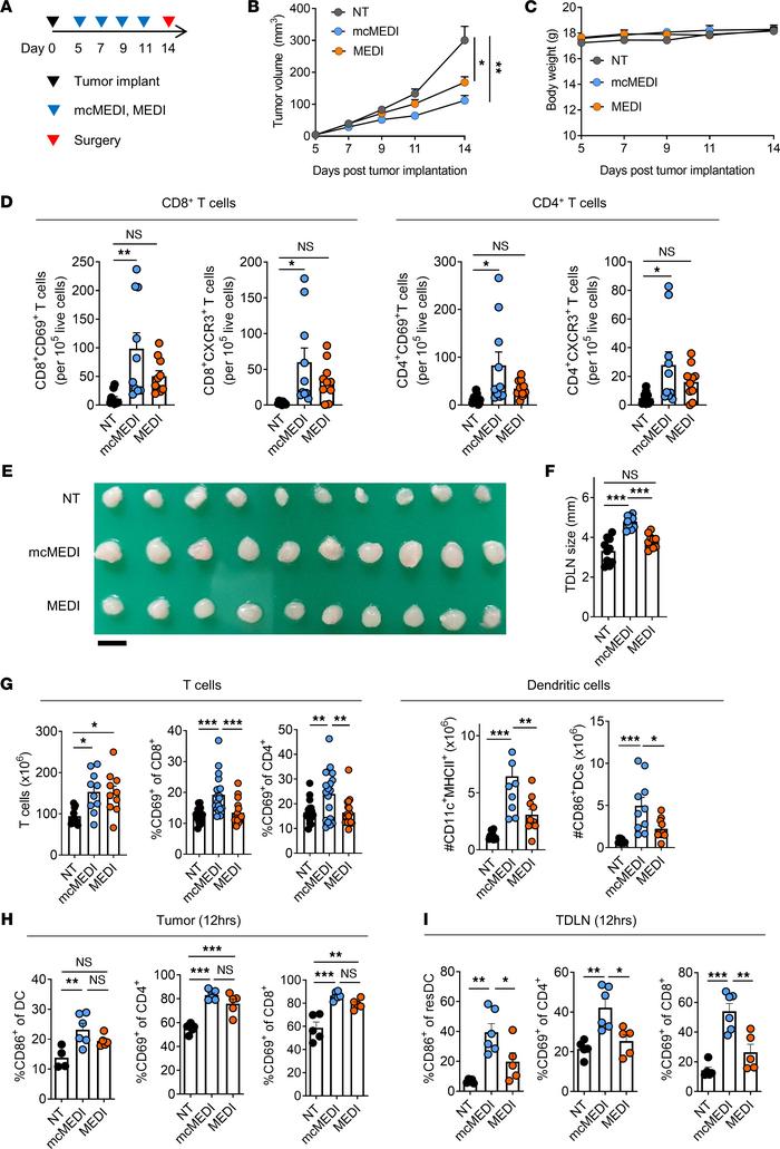 mcMEDI therapy induces effective local immune activity within primary tu...