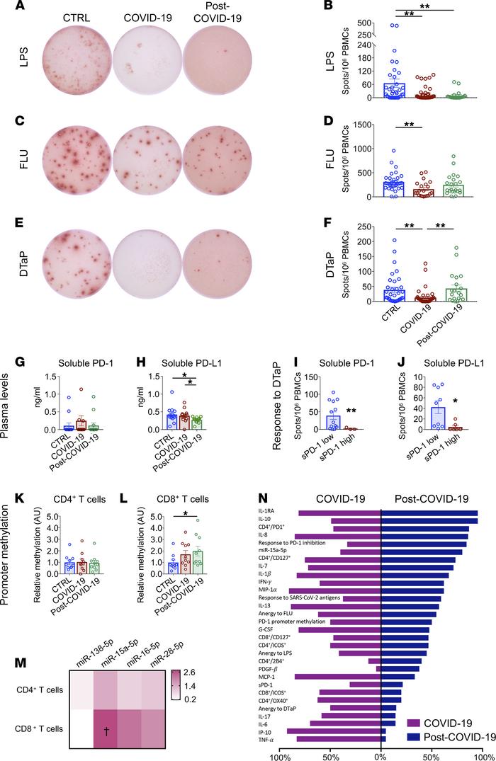 T cells from patients who recovered from COVID-19 are exhausted.
(A–F) R...