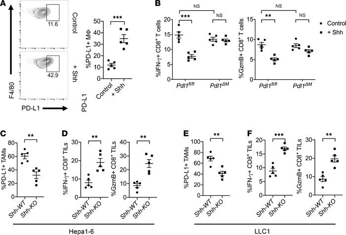 Tumor-derived Shh ligand upregulates PD-L1 expression on TAMs to suppres...