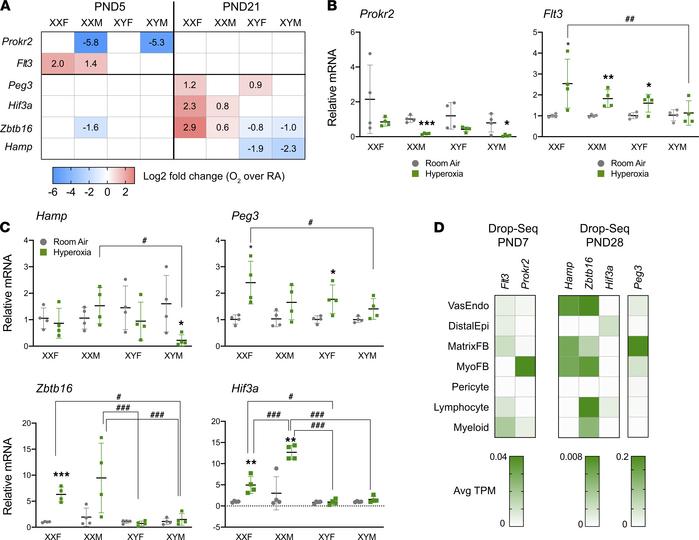 Independent validation of RNA-Seq results for selected genes with qPCR a...