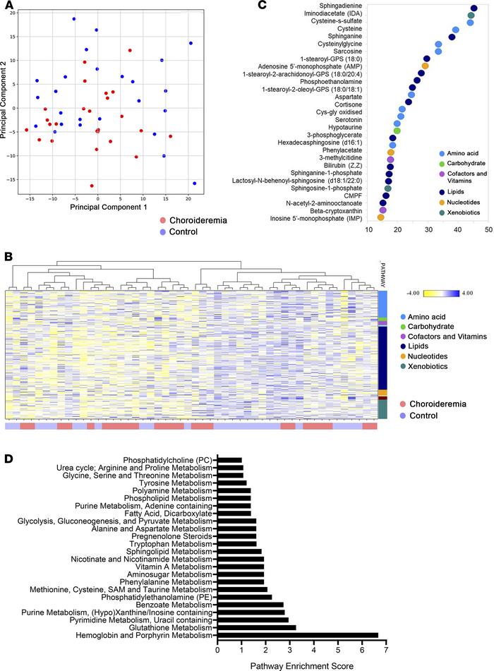 Global metabolomic analysis of choroideremia (CHM) patients versus age- ...