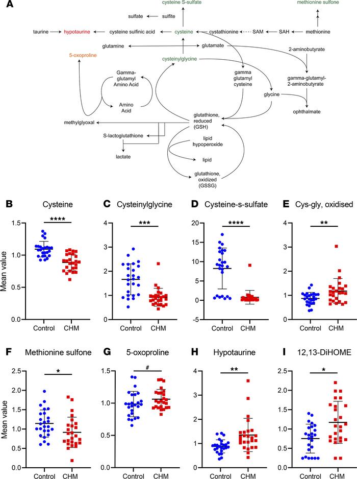 CHM patients exhibit evidence of increased oxidative stress.
(A) Schemat...
