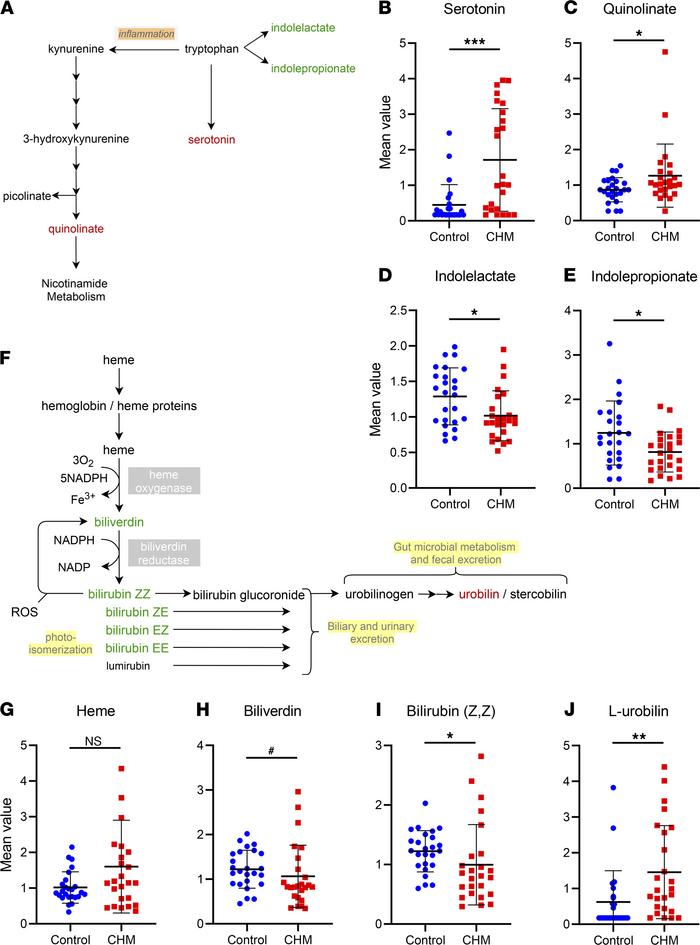 Alterations in tryptophan and hemoglobin metabolism pathways in CHM pati...