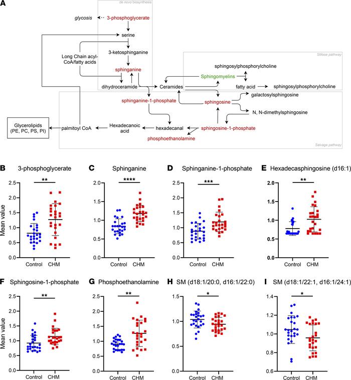 Disturbance of sphingolipid metabolism in CHM patients.
(A) General sphi...