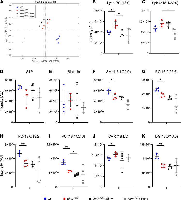 Lipidomic profiles of zebrafish.
(A) PCA of day 6 chm ru848 mutant fish ...