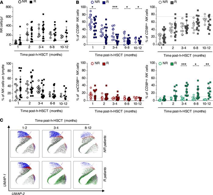 Impact of HCMV infection/reactivation on the kinetics of NK cell subset ...
