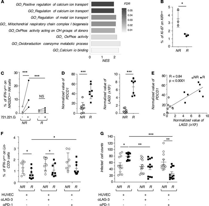 Impairment in the effector-functions of KIRpos mL-NK cells.
(A) Gene set...