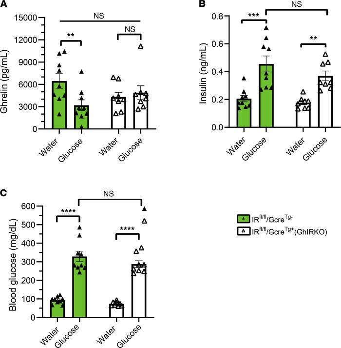 Glucose administration by gavage fails to suppress ghrelin levels in GhI...