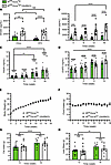 High-fat diet feeding fails to suppress plasma ghrelin in GhIRKO mice.