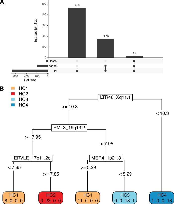 Prognostic HERV model using supervised learning.
(A) Upset plot showing ...