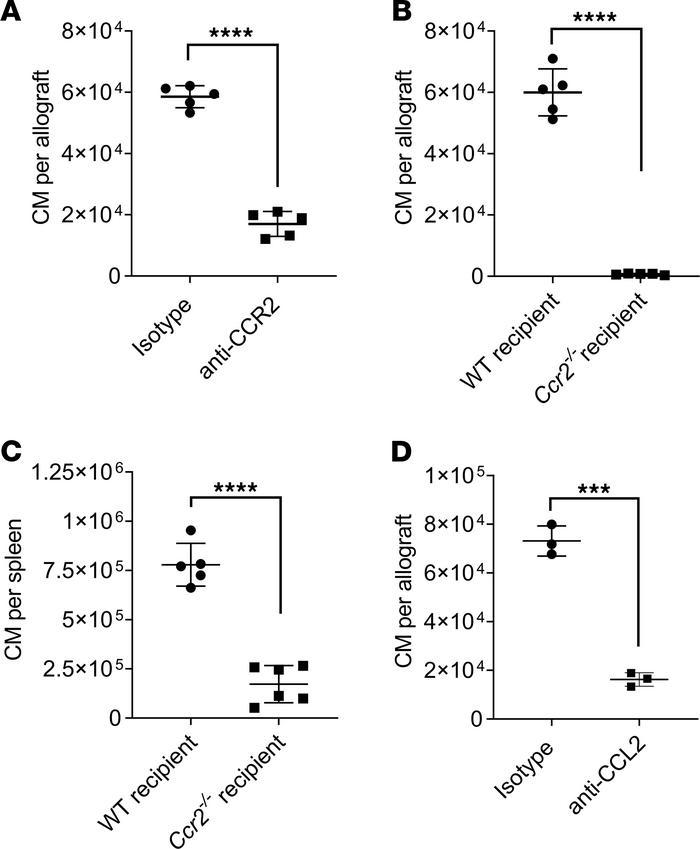 The CCL2-CCR2 axis is necessary for recipient classical monocytes (CM) r...