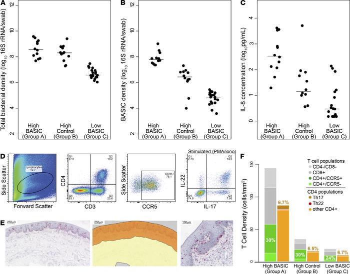 High abundance of BASIC species, but not overall bacterial load, is asso...