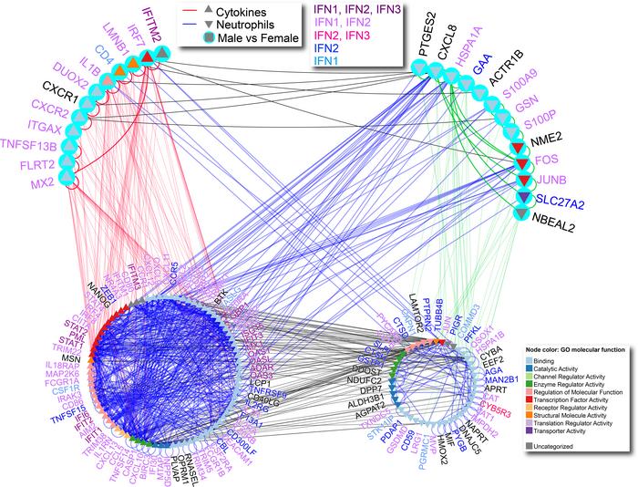 Network of cytokine-mediated signaling pathway and neutrophil-mediated i...