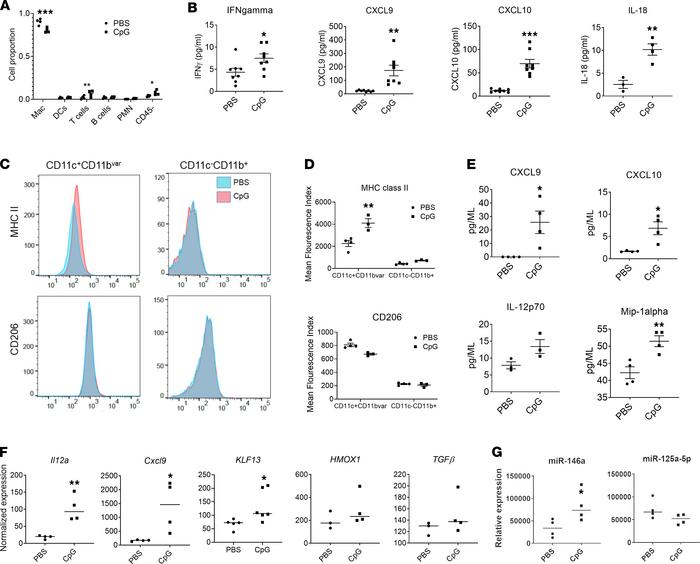 AMϕ demonstrate features of IFN-γ–mediated activation during acute MAS.
...
