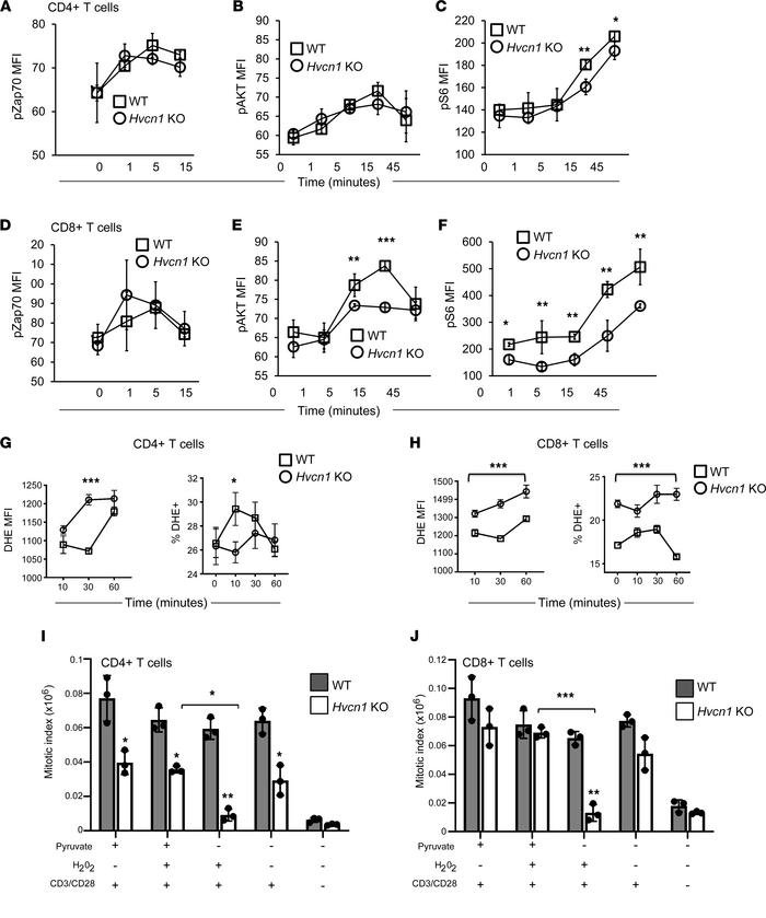 Altered TCR signaling and ROS production by Hvcn1-deficient T cells.
Pho...