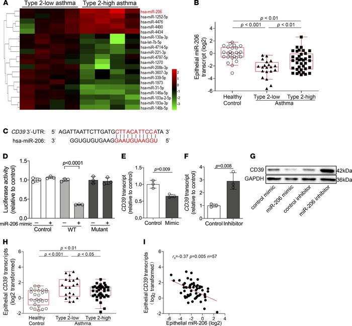 An epithelial miRNA differentially expressed between type 2–low and type...