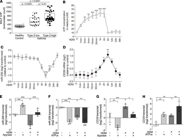 Acute extracellular ATP accumulation is responsible for allergen-induced...