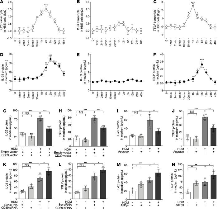 Extracellular ATP is required and sufficient for IL-25 and TSLP expressi...