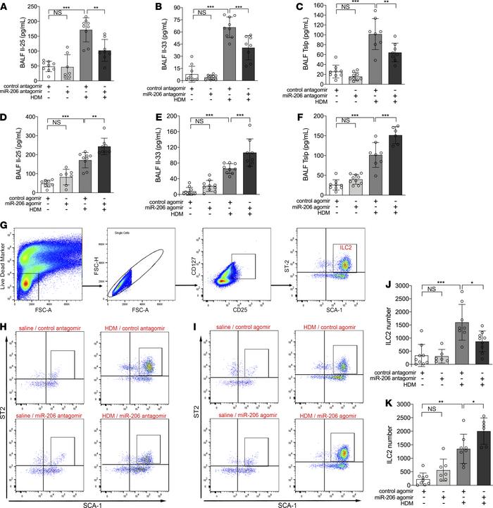 Perturbation of airway miR-206 expression alters HDM-induced IL-25, IL-3...
