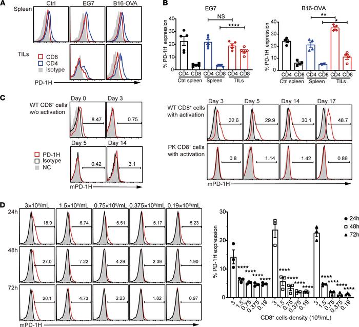 Upregulation of PD-1H expression is maintained on activated T cells.
(A ...