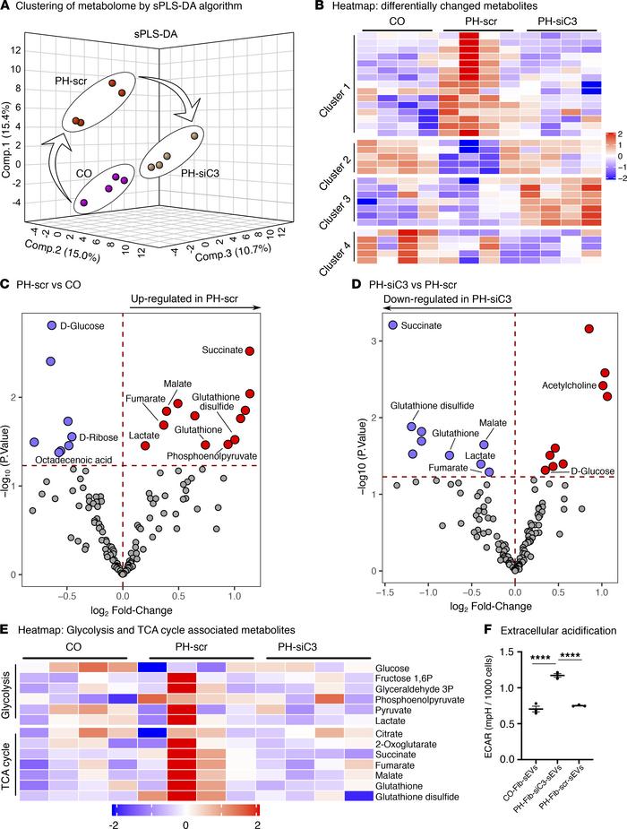 sEVs from PH-Fibs, depleted of complement C3, exhibit significantly atte...