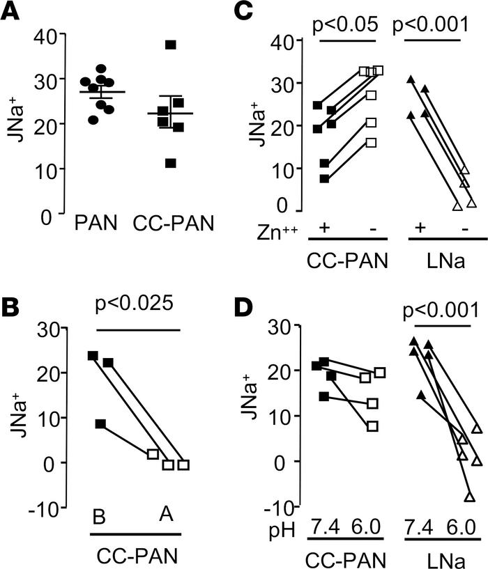 Sodium flux (JNa+) measured in microperfused CCDs in vitro.
(A) JNa+ in ...