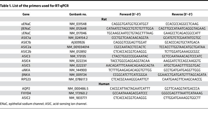 List of the primers used for RT-qPCR