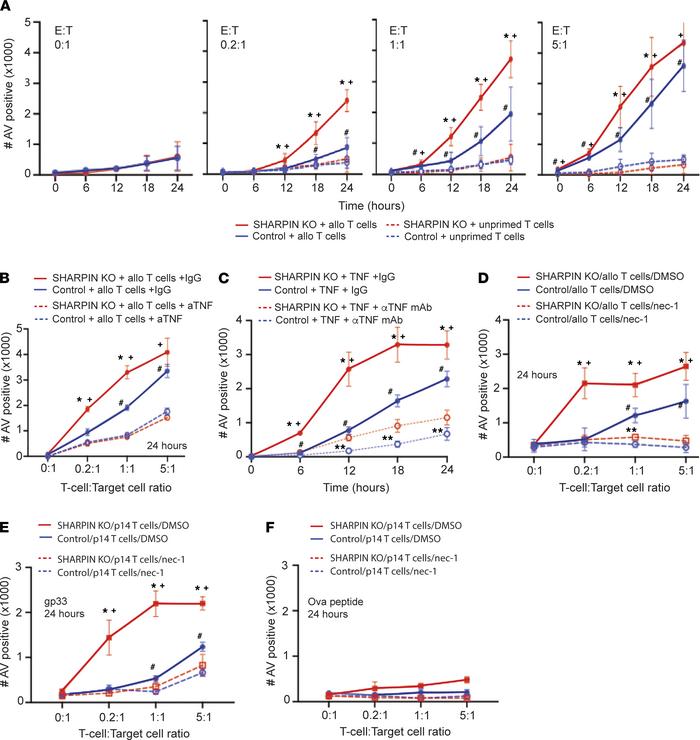 T cell–derived TNF mediates cytotoxicity via activation of target cell R...