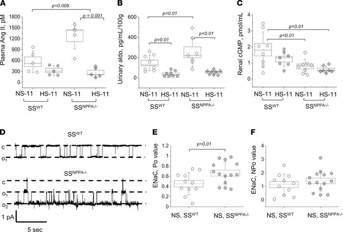 RAAS levels, cGMP concentration and ENaC activity in the SSNPPA–/– rats....