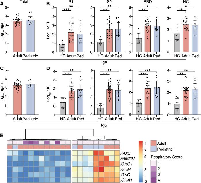 Early mucosal antibody responses in pediatric and adult COVID-19 patient...