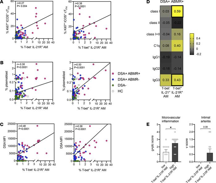 Correlation of frequencies of AM subsets with disease manifestations of ...