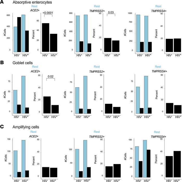 HIV infection reduces the frequency of SARS-CoV-2 putative target cells ...