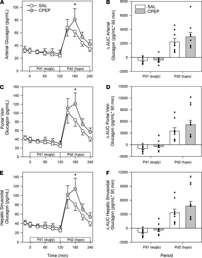 Glucagon responses during the euglycemic Pd1 and the hypoglycemic Pd2.
A...