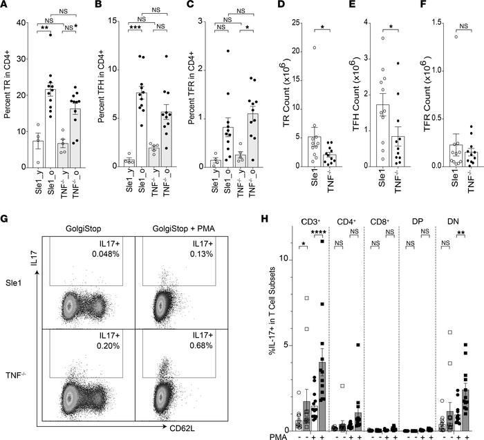 Inflammatory effector T cells are enhanced in TNF-deficient mice.
(A–C) ...