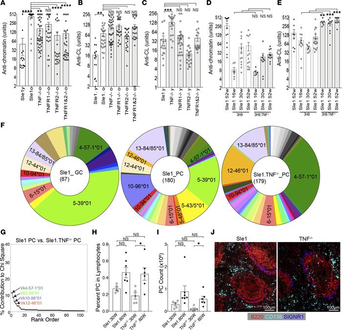 Altered autoantibody specificity in Sle1 TNF–/– and Sle1 TNFR1–/– mice.
...
