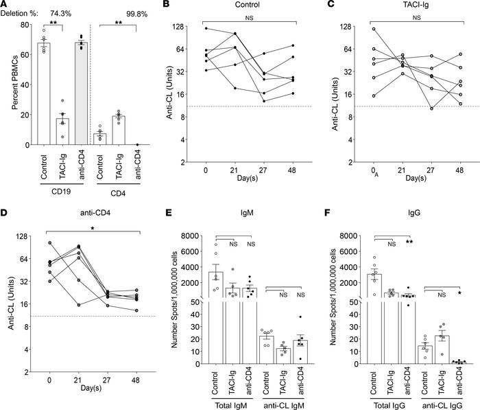 IgG anti-cardiolipin production in Sle1 TNF–/– mice is CD4 dependent.
(A...