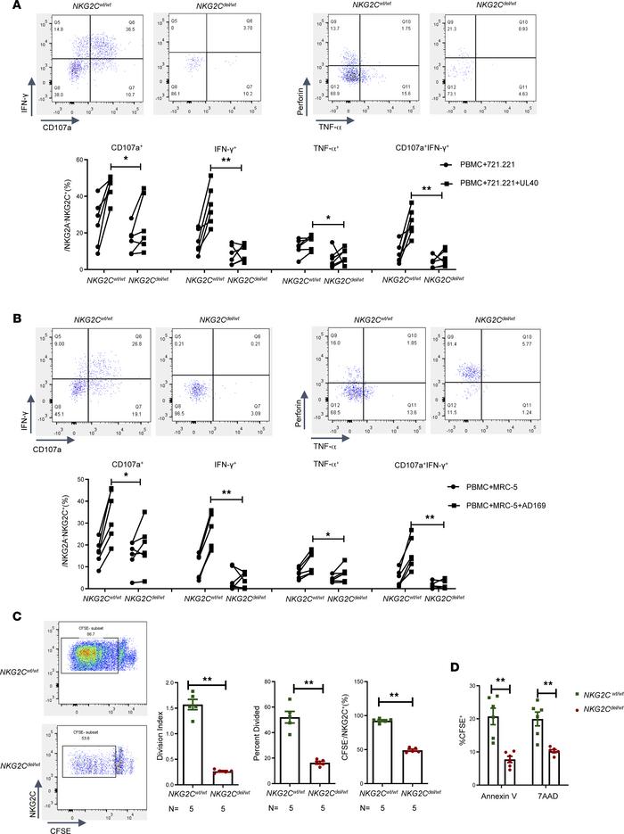 Anti-CMV functional reconstitution of NKG2C+ adaptive NK cells in differ...