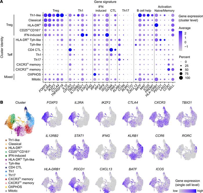 Gene expression in Th1-polarized Tregs and Teffs from oligo JIA SF.
Sort...