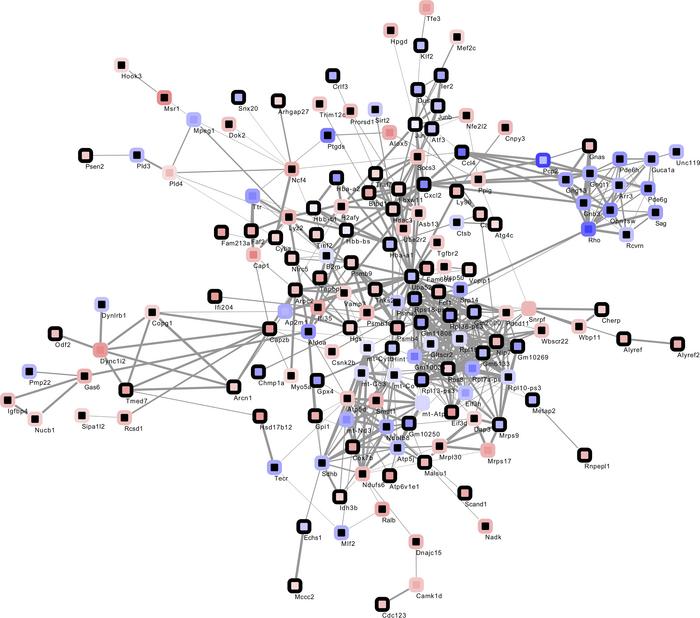 Interaction network of transcripts showing changed expression at 6 dpi (...