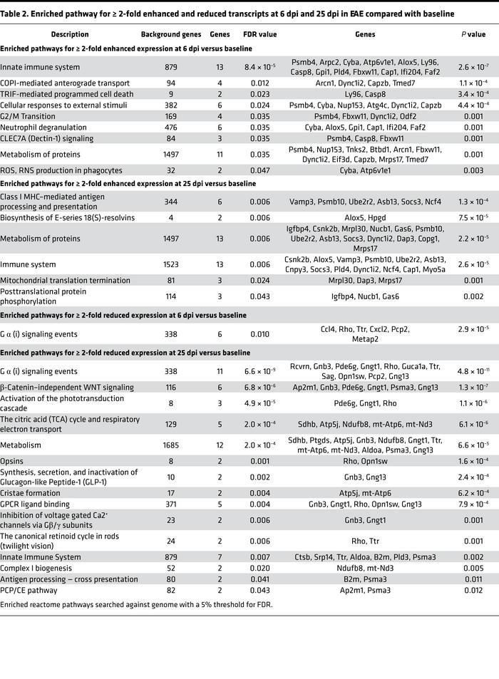 Enriched pathway for ≥ 2-fold enhanced and reduced transcripts at 6 dpi ...