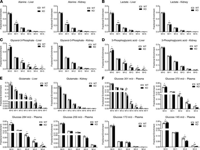 Mass isotopomer distributions (MIDs) of liver, kidney, and plasma metabo...