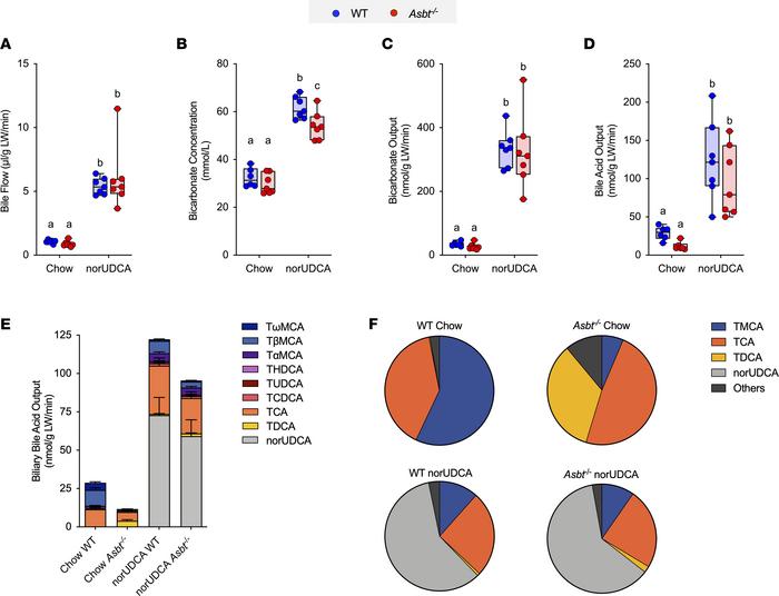 norUDCA treatment increases bile flow and biliary bicarbonate and solute...