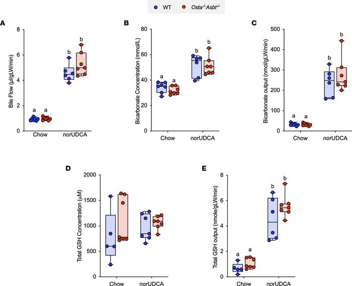 norUDCA treatment increases bile flow and biliary bicarbonate and solute...