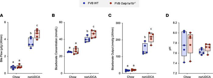 norUDCA treatment increases bile flow and biliary bicarbonate and solute...