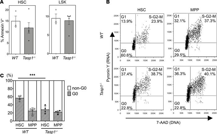 Tasp1–/– fetal liver hematopoietic stem cells exhibit an aberrant cell c...